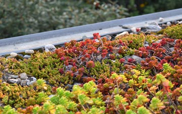 the cost of Whitecraigs green roof installation