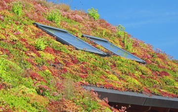 Whitecraigs living roof systems